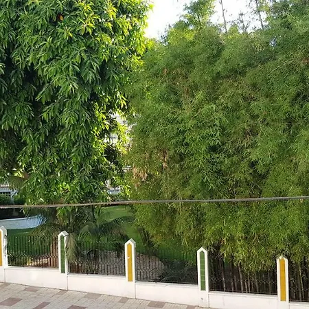 Autentico Playa 托雷莫利诺斯